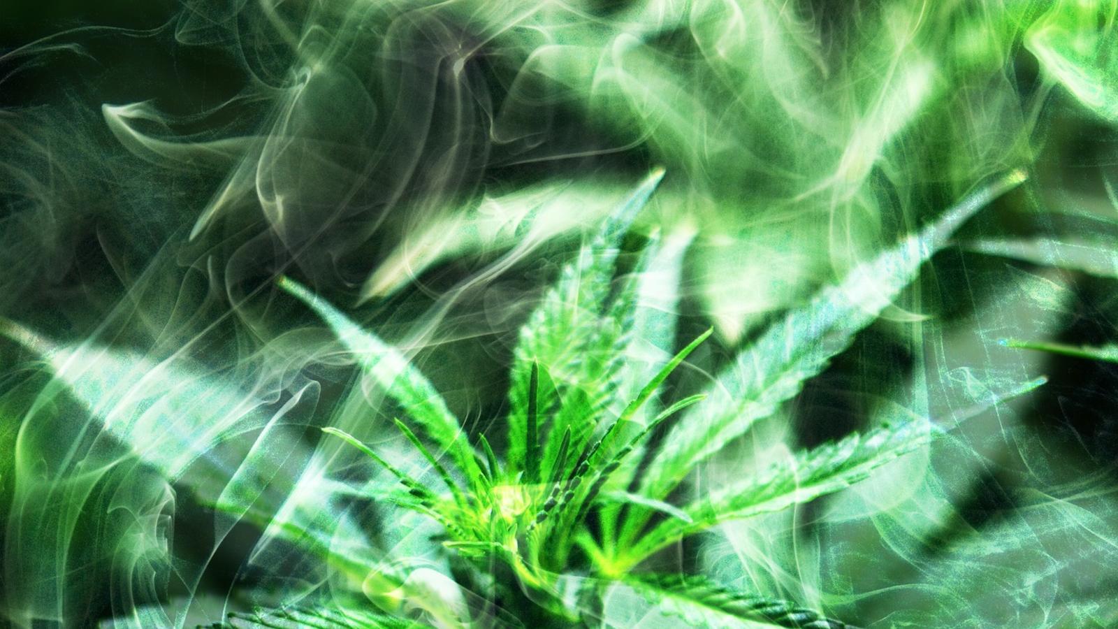 Legalizar la marihuana sube la venta de helados, galletas y patatas fritas - 