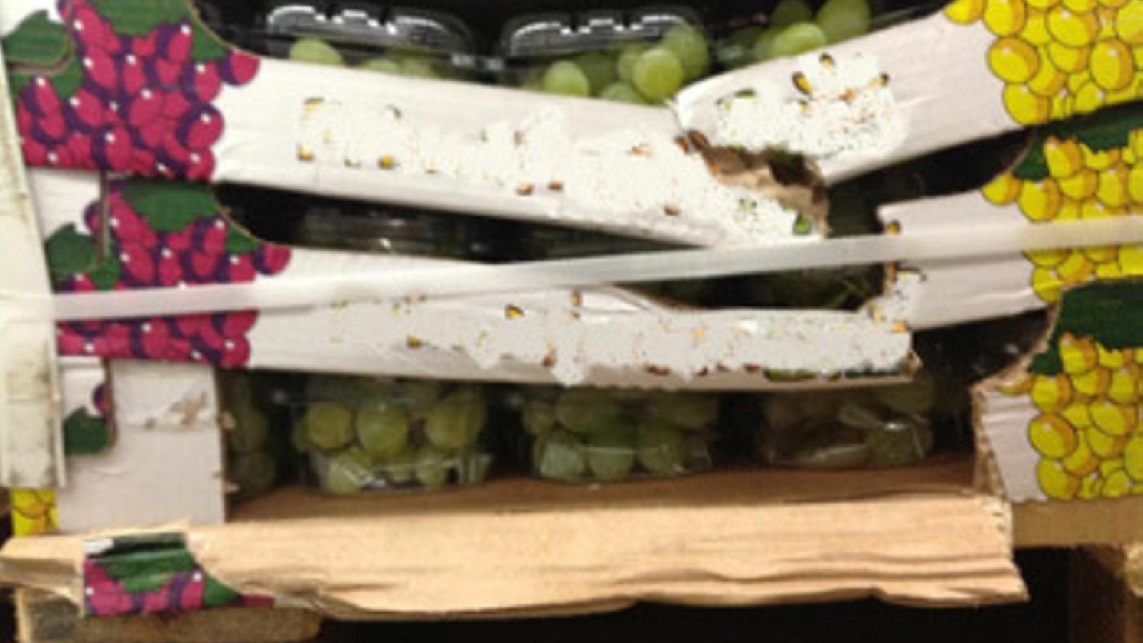 Transportar fruta en envases de un solo uso provoca millones de pérdidas