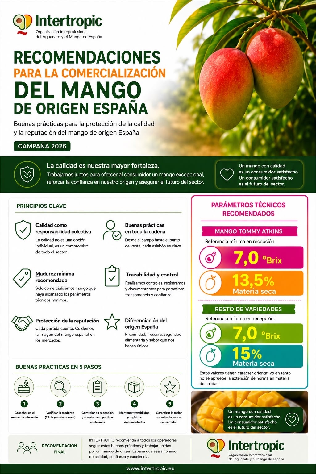 Recomendaciones para la Comercialización del Mango de Origen España – Campaña 2026 de Intertropic.