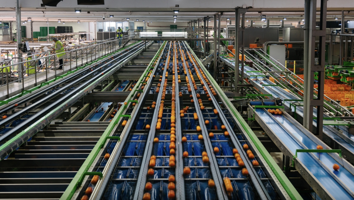 Paine Schwartz entra en el capital del grupo agroalimentario español AM Fresh