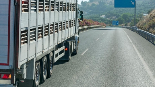 CETM denuncia que la Generalitat señala 