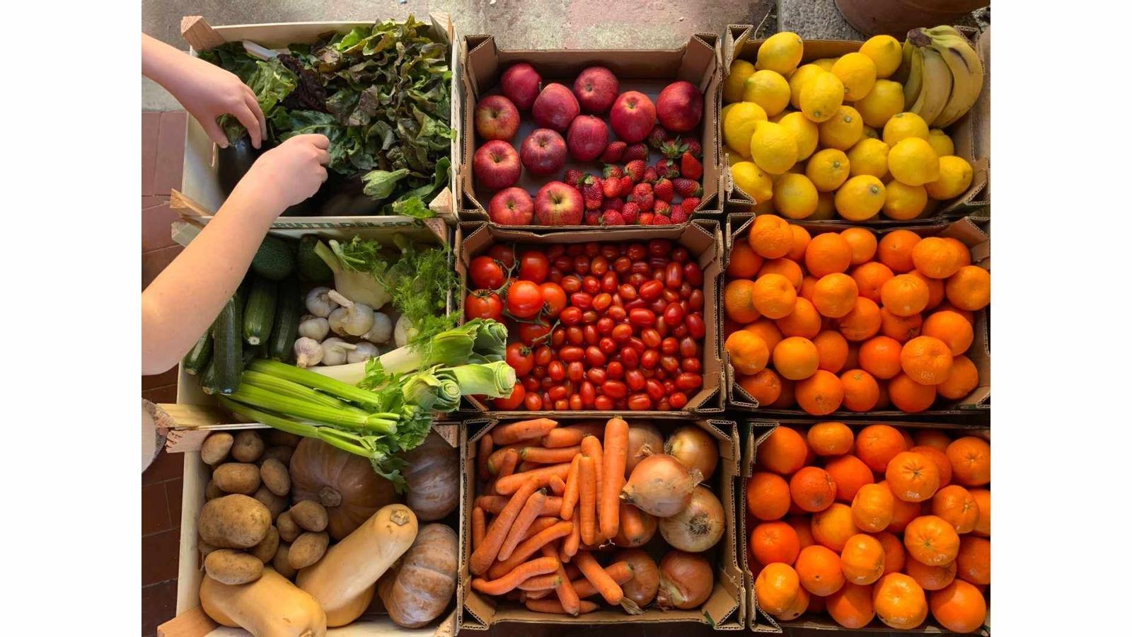 España pide a la UE 350,7 millones del régimen de ayudas de frutas y hortalizas para 2024