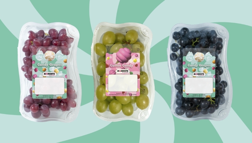 Gamas Cotton Candy y Candy Grapes de Moments by El Ciruelo.