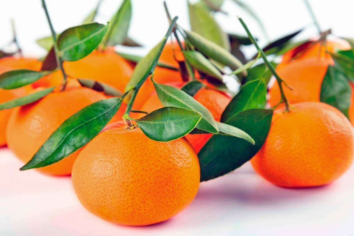 CVVP gestiona una nueva mandarina, la variedad US Early Pride y su marca comercial  EARLYNA®